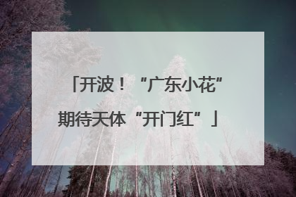 开波！“广东小花”期待天体“开门红”